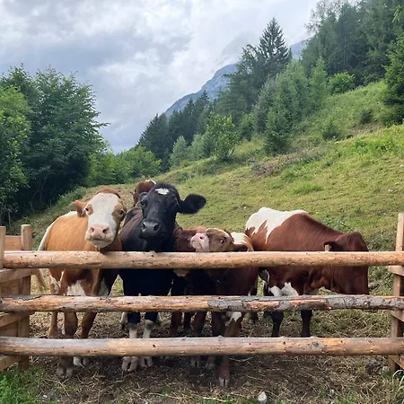 Haus Biechl Mit Blick Auf Burg Hohenwerfen Pfarrwerfen