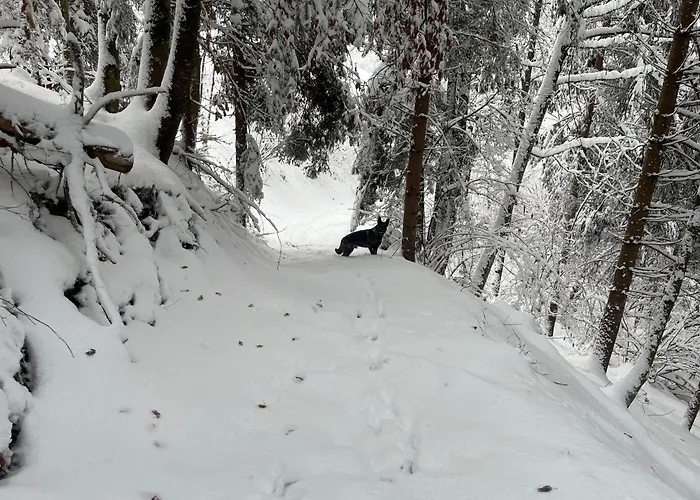 Haus Biechl Mit Blick Auf Burg Hohenwerfen * بفارويرفين