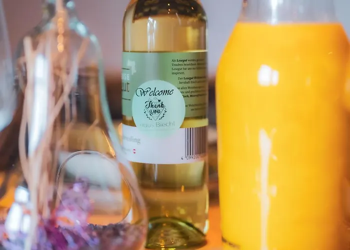 Haus Biechl Mit Blick Auf Burg Hohenwerfen * Pfarrwerfen